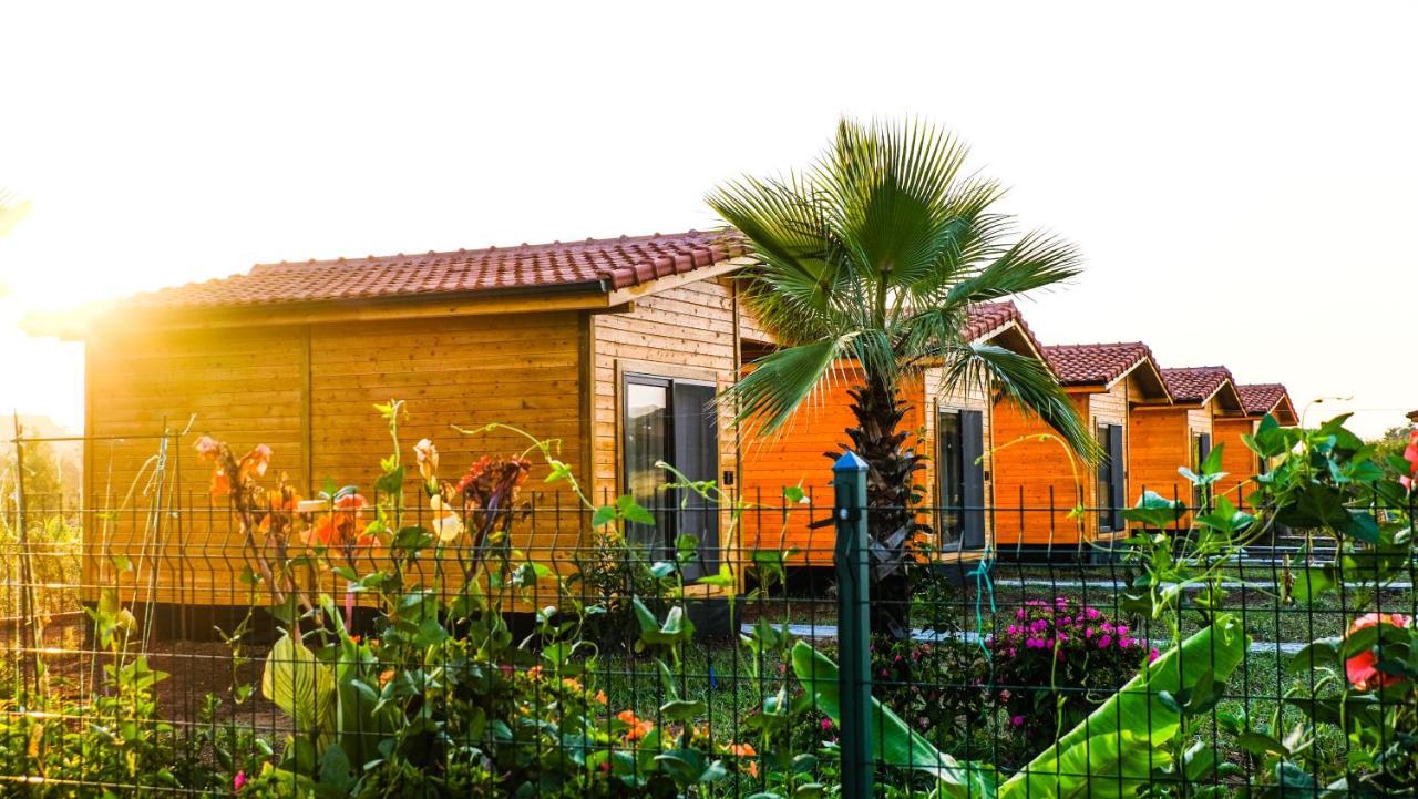 Lemon Garden Lodge Cirali Exterior photo