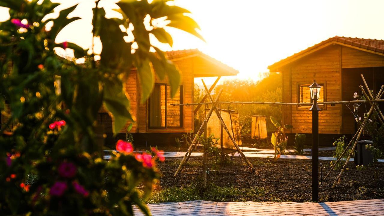 Lemon Garden Lodge Cirali Exterior photo