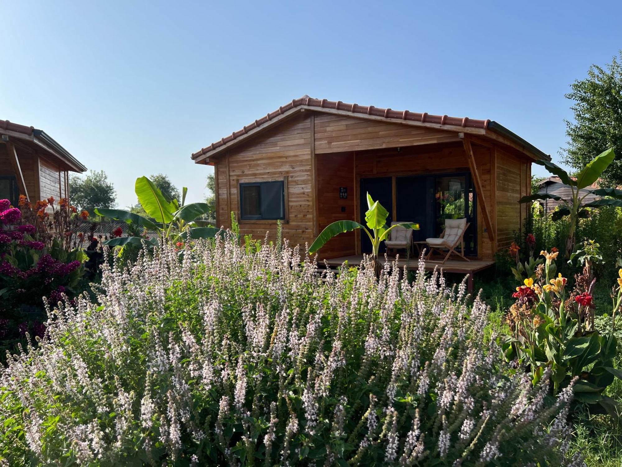 Lemon Garden Lodge Cirali Exterior photo