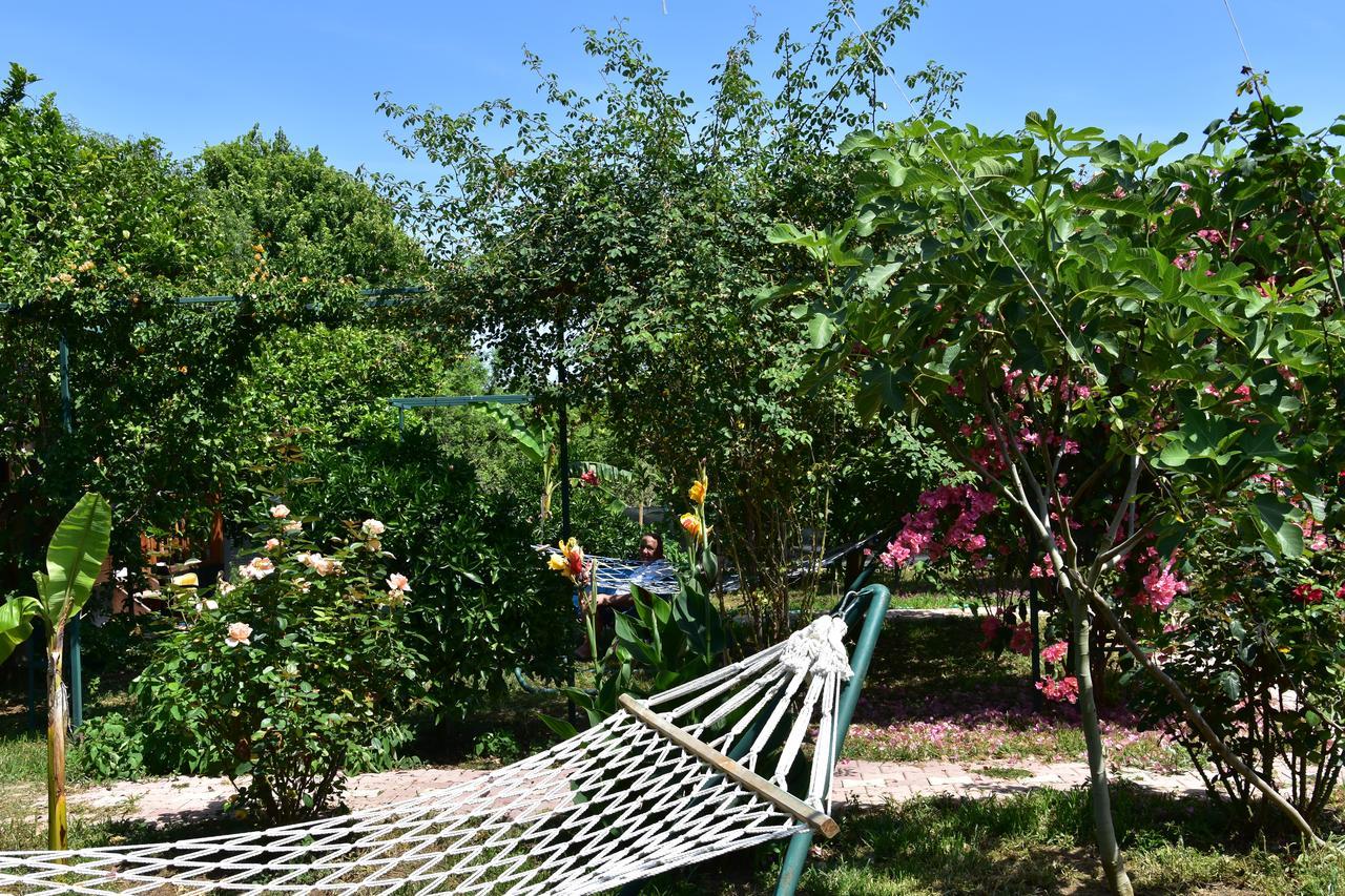 Lemon Garden Lodge Cirali Exterior photo